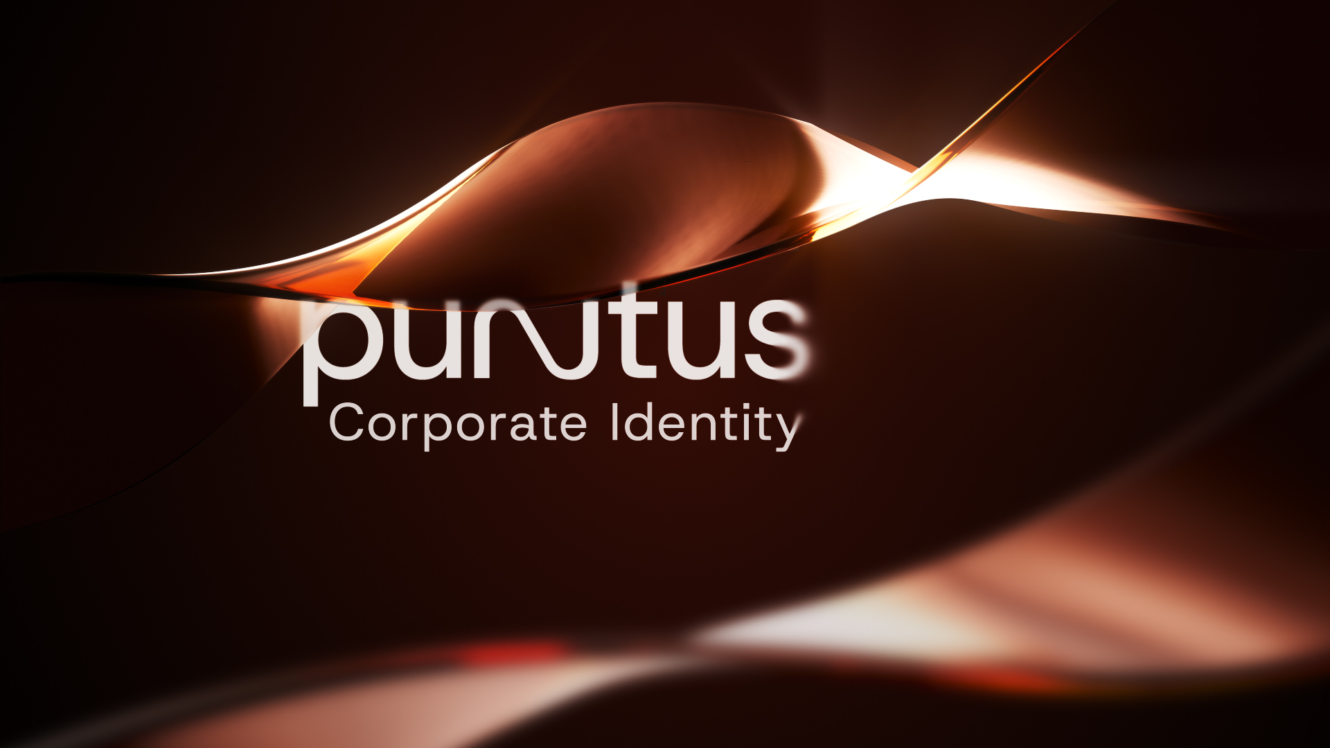 PUNTUS Markenkommunikation